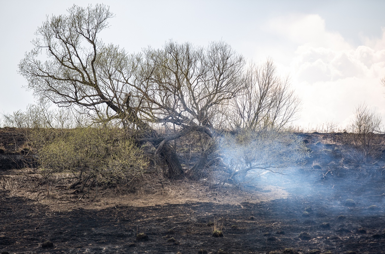 За сутки в Тульской области произошло 3 пожара