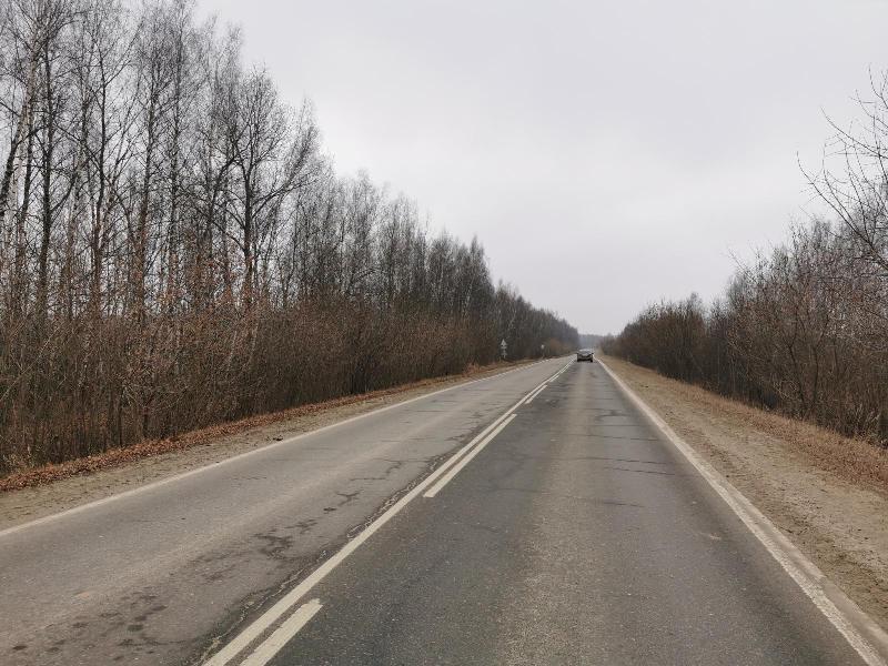 В Тульской области на дороге насмерть сбили женщину