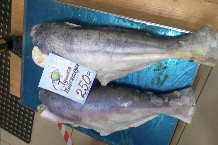 «Таможня не дала добро»: в Туле сотрудники службы изъяли из продажи полтонны сомнительной рыбы