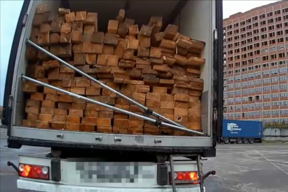 В Туле выявили контрабанду древесины хвойных пород почти на 1 млн рублей