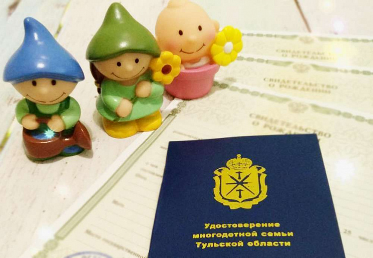 Детей из многодетных семей в Заокском лишили льготы на земельный налог