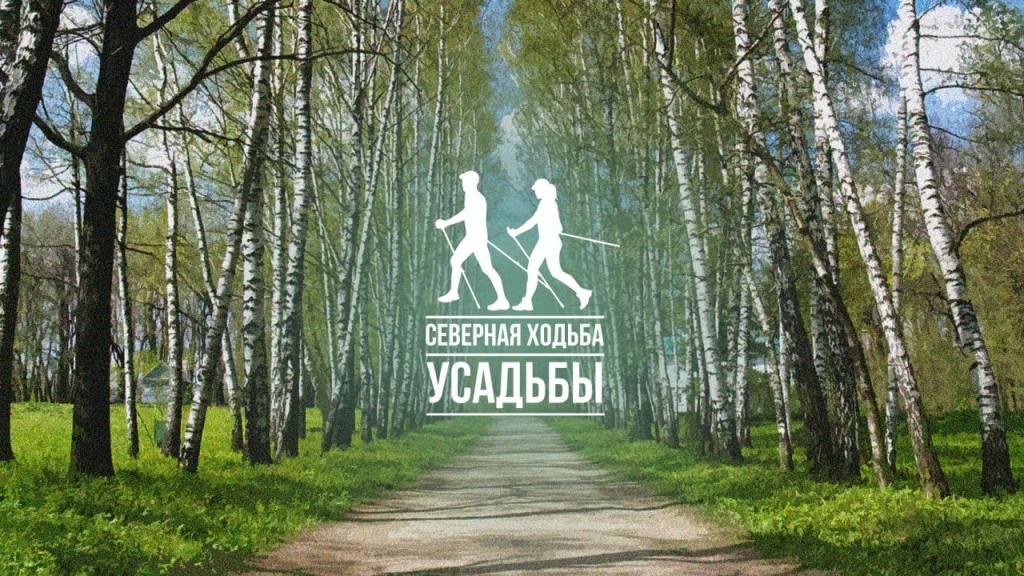 В Богородицке пройдет спортивный фестиваль «Северная ходьба»