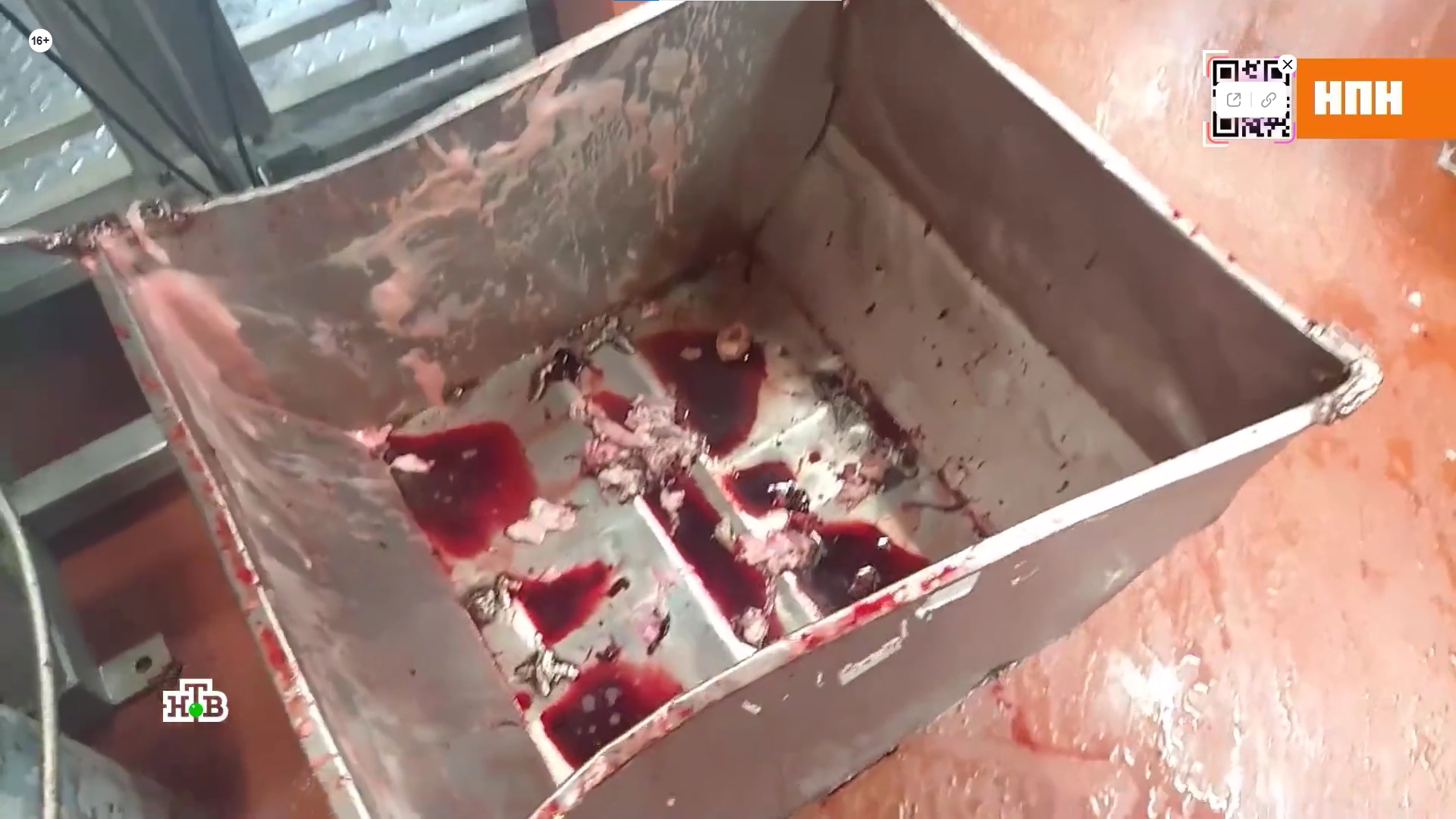 Голые руки и даты из будущего: как делают колбасу на мясокомбинате "ПХ Лазаревское"