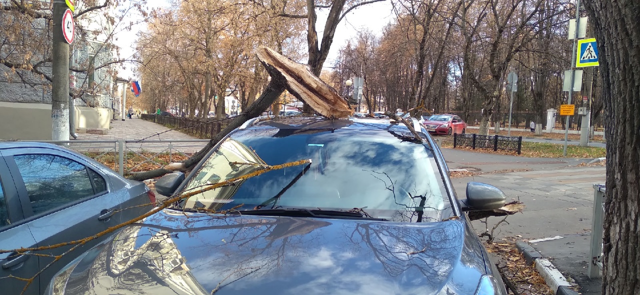 
                                            В центре Тулы сухое дерево упало на припаркованный автомобиль
                                    