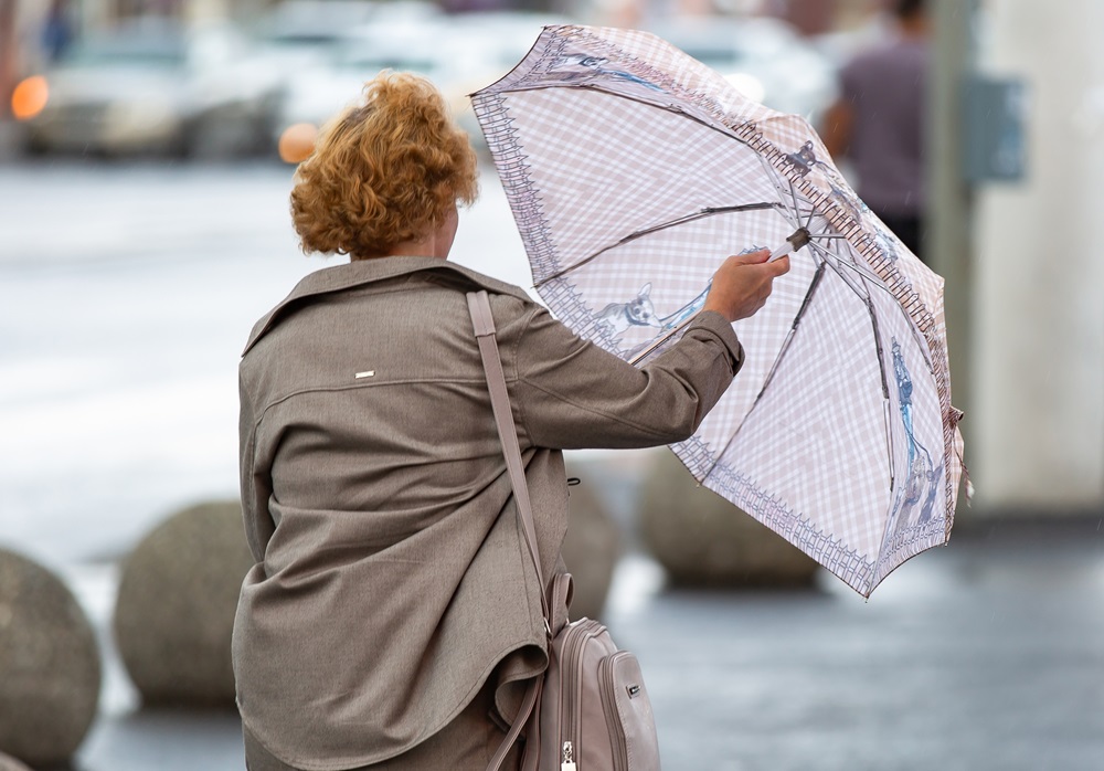 4 ноября в Туле будет тепло и дождливо
