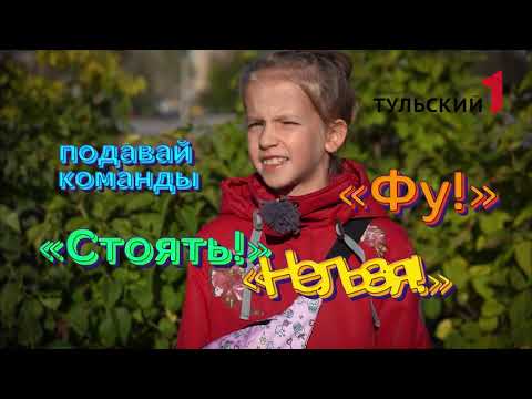 Программа Включай: как работает полимерная глина и почему опыты на youtube не работают