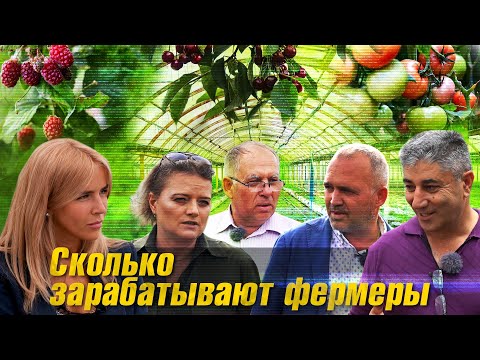 ФЕРМЕРЫ. С чего начать? Сколько денег вложить? Когда ждать прибыль?
