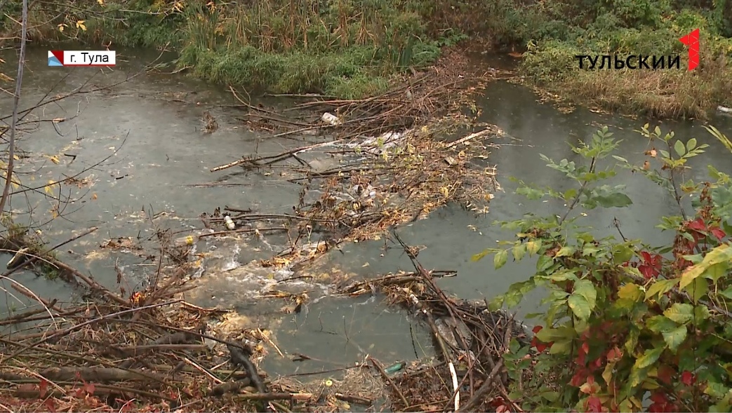 В Туле на Воронке бобры устроили полуметровую плотину и водопад