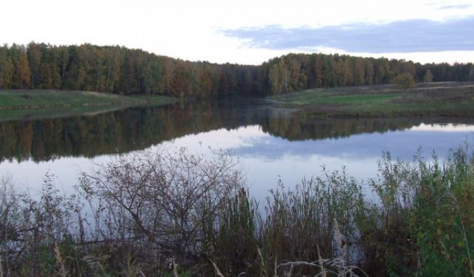 В Тульской области обустроят глэмпинг в карьерах Красного озера