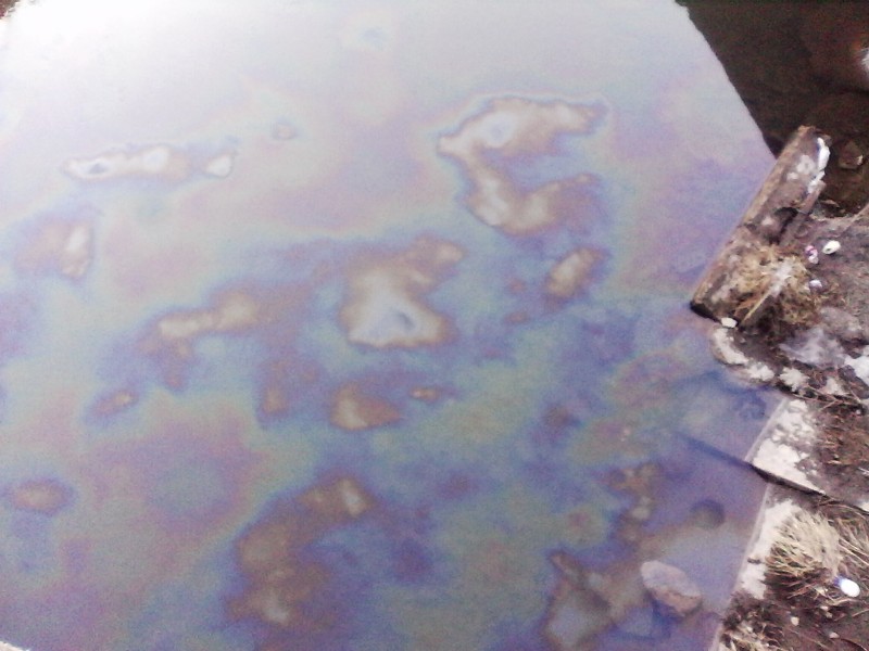 Природоохранная прокуратура начала проверку после сообщения о загрязнении реки Воронки в Туле