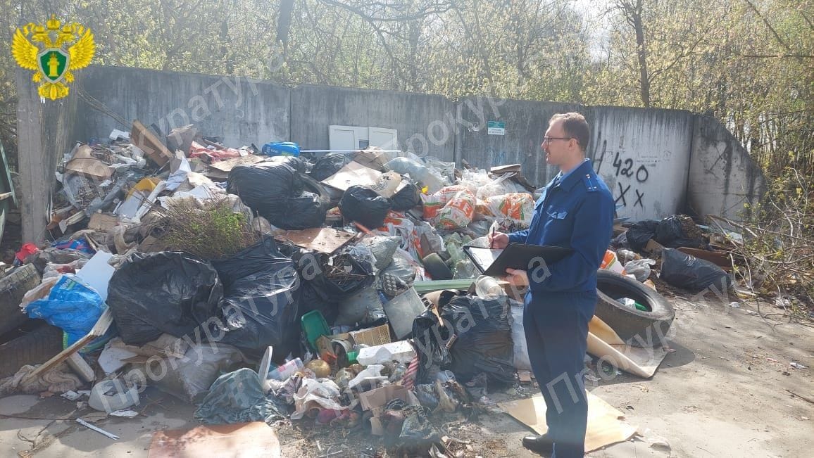 В Алексине возле кладбища образовалась незаконная мусорка
