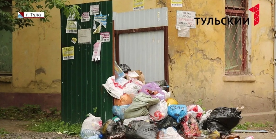 «Реши проблему»: куда туляки могут пожаловаться на нескошенную траву и неубранный мусор