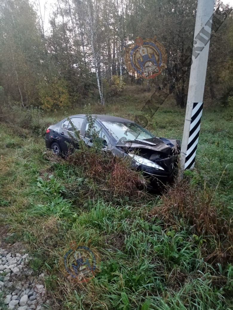 В Ясногорском районе водитель легковушки врезался в столб и погиб