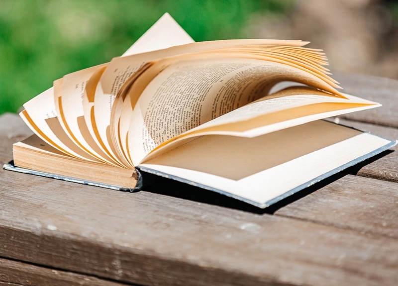 Названы кандидаты на слово 2025 года