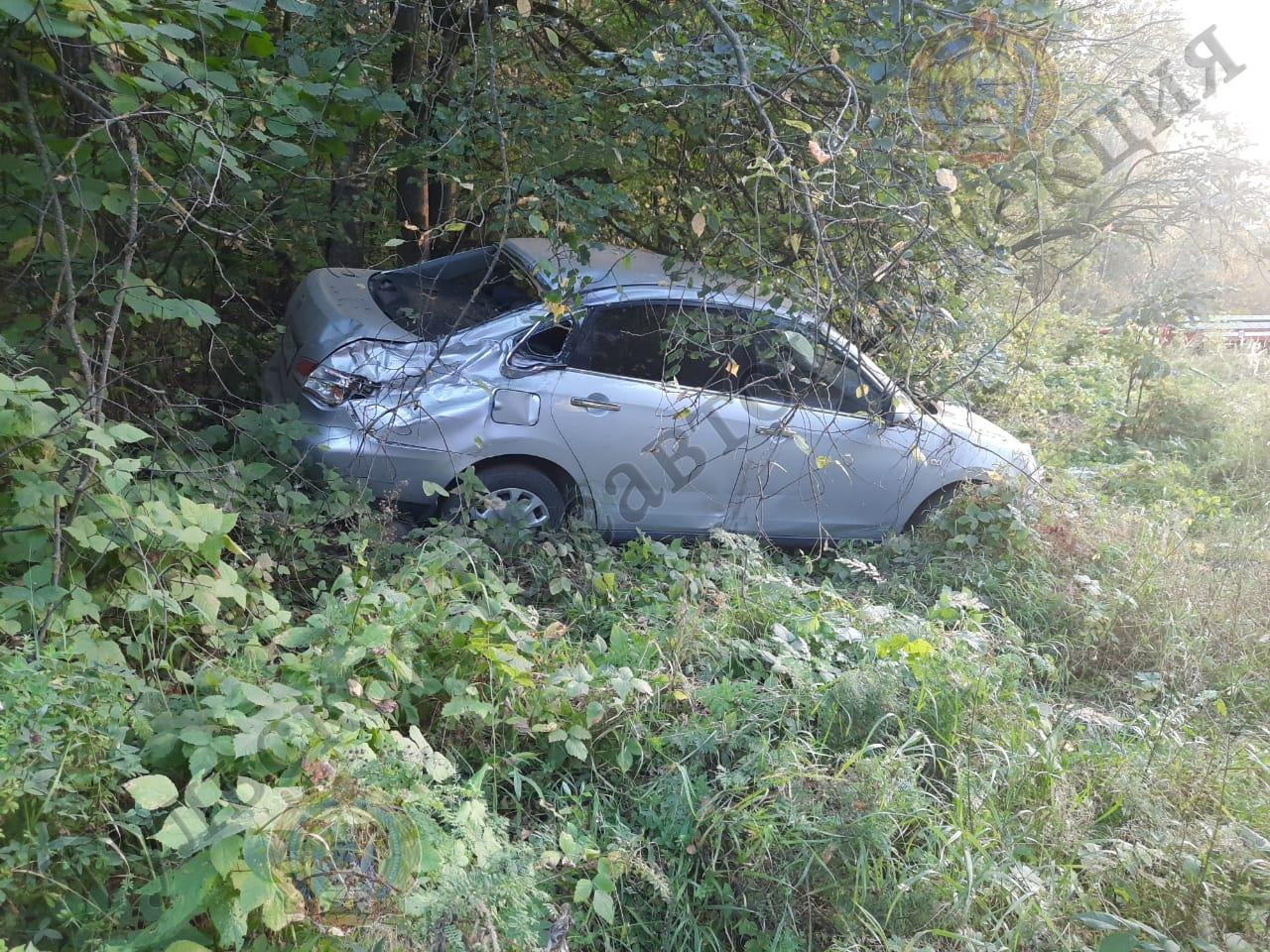 В Тульской области женщина на автомобиле съехала в кювет и врезалась в дерево