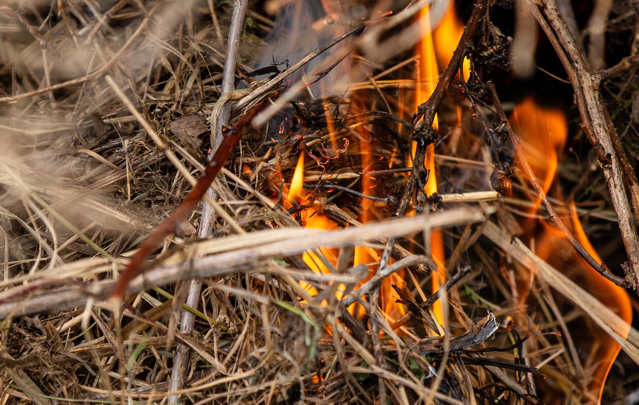 За год количество пожаров в Тульской области сократилось вдвое