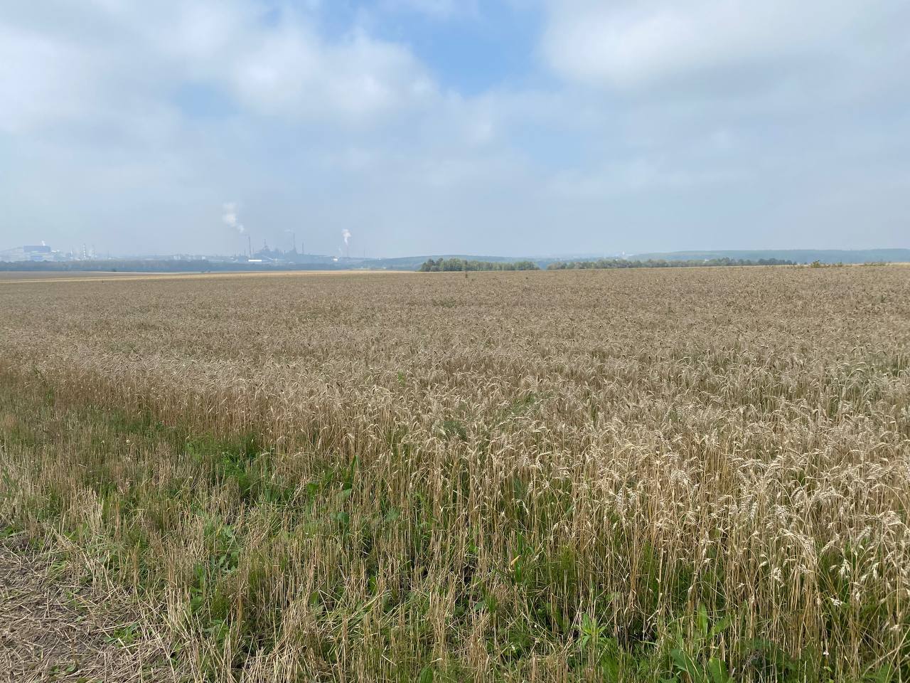 В Одоевском районе появится зернохранилище на 30 тысяч тонн