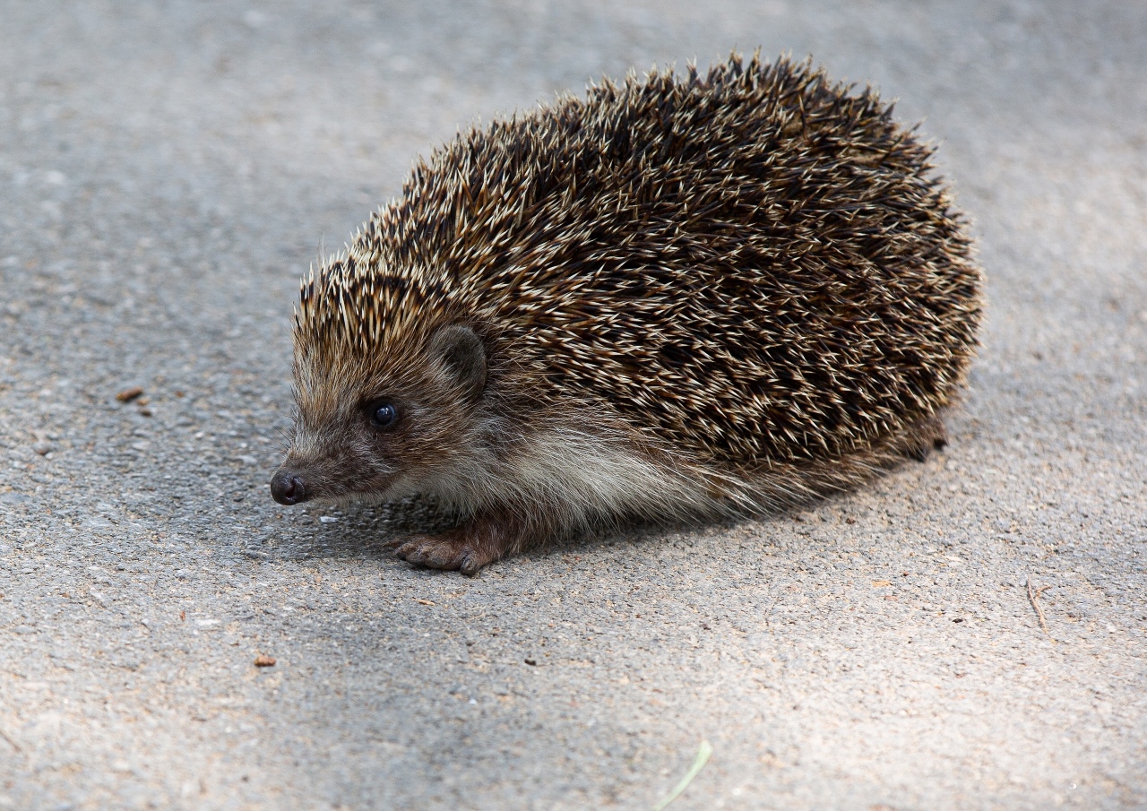 В️ ближайшие часы Тульскую область накроет густой туман